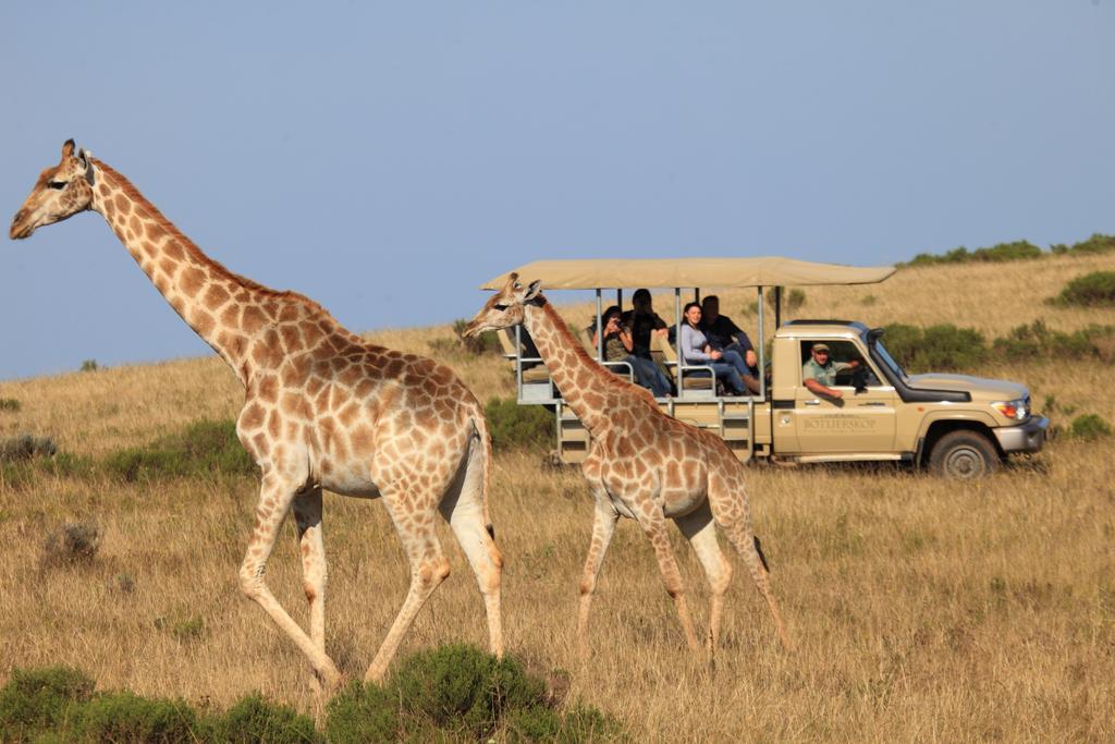 Botlierskop Bush Villas Sandhoogte المظهر الخارجي الصورة