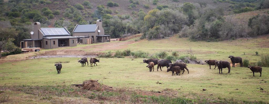 Botlierskop Bush Villas Sandhoogte المظهر الخارجي الصورة